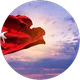Seda Mürtezaoğlu profil fotoğrafı