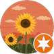 Amira profil fotoğrafı