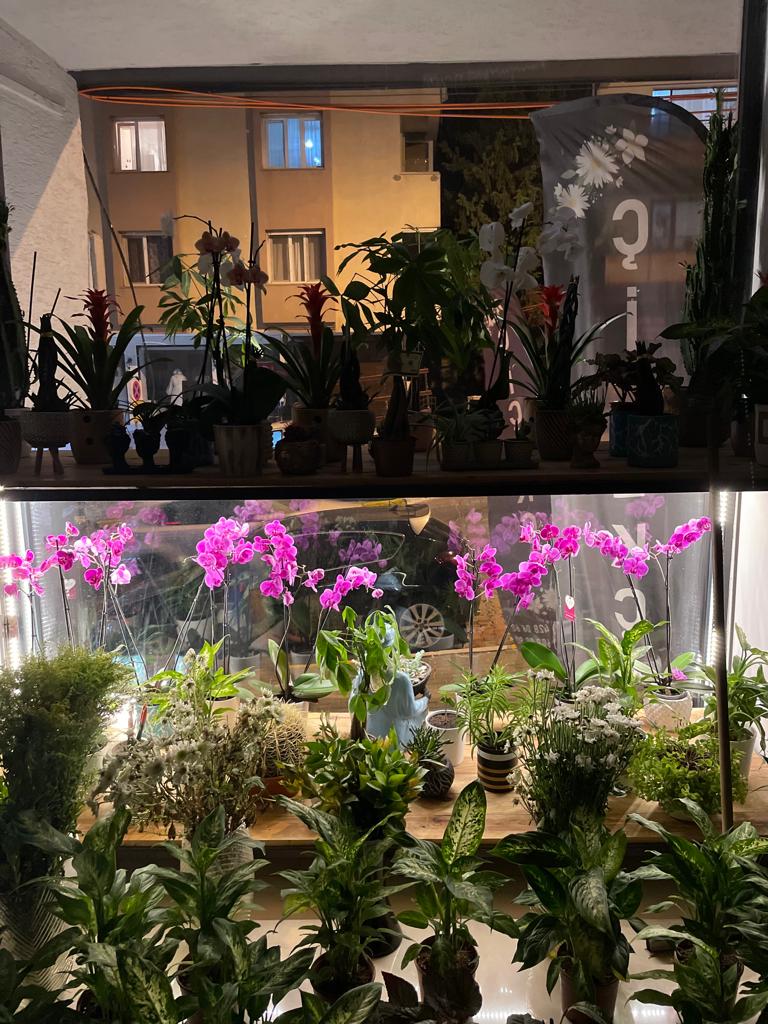 GİZA ÇİÇEKÇİLİK - AVCILAR ÇİÇEKÇİ 💐