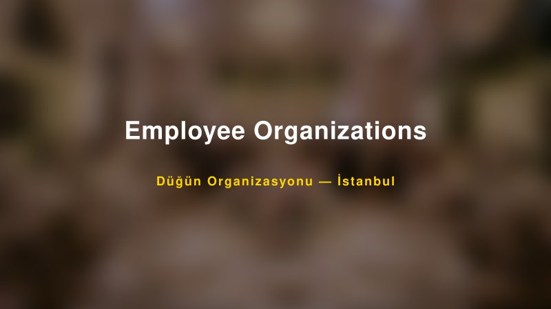 Employee Organizations — İstanbul Kır Düğünü Mekanı Rehberi