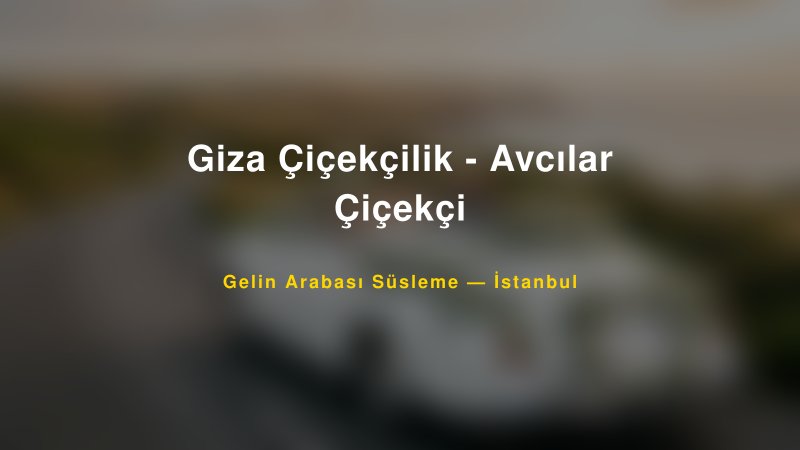 Giza Çiçekçilik - Avcılar Çiçekçi Gelin Arabası Süsleme Fiyatları